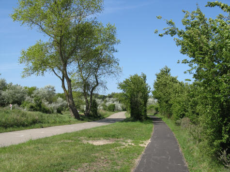 Bike Path to Zandvoort