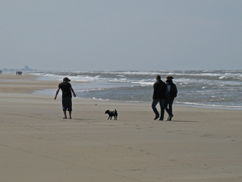 Zandvoort Beach